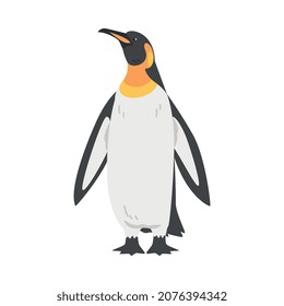 Emperor Penguin as Aquatic Flightless Bird with Flippers for Swimming in Standing Pose Vector Illustration