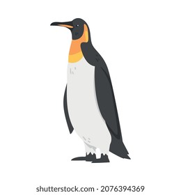 Emperor Penguin as Aquatic Flightless Bird with Flippers for Swimming in Standing Pose Vector Illustration