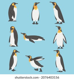 Emperor Penguin as Aquatic Flightless Bird with Flippers for Swimming Vector Set