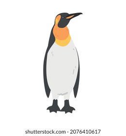 Emperor Penguin as Aquatic Flightless Bird with Flippers for Swimming in Standing Pose Vector Illustration