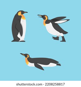 Emperor Penguin as Aquatic Flightless Bird with Flippers for Swimming Vector Set