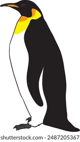 emperor penguin the biggest penguin lives on antarctica