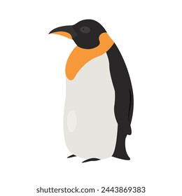 Emperor penguin bird. Arctic and antarctic animals, snow fauna cartoon vector illustration