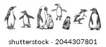 Emperor penguin colony. Adult with juveniles. Small family set. Vector graphics black and white drawing. Hand drawn sketch. Group of aquatic flightless birds. African and Gentoo and King chick