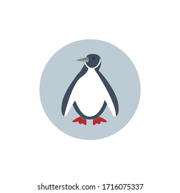Emperor Penguin colorful flat icon with shadow. Penguin flat icon