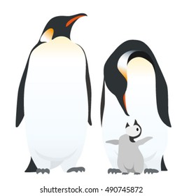 Emperor Penguin Family, Isolated On White Background.