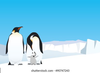 Emperor Penguin Family On The Ice