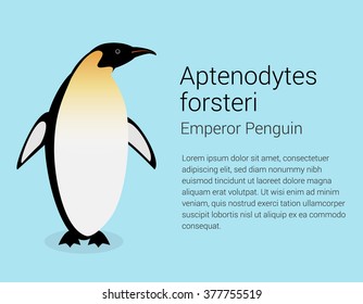 Emperor Penguin. Flat isolated illustration on blue background.