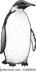 Emperor penguin illustration, drawing, engraving, ink, line art, vector