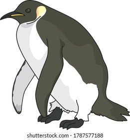 The Emperor Penguin is the largest penguin.