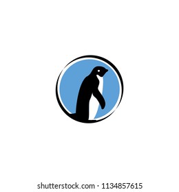 Emperor Penguin Logo Concept