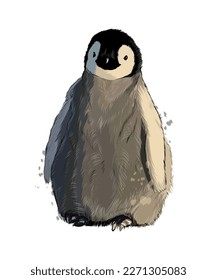 Emperor penguin from multicolored paints. Splash of watercolor, colored drawing, realistic. Vector illustration of paints