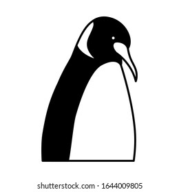 emperor penguin on white background vector illustration design