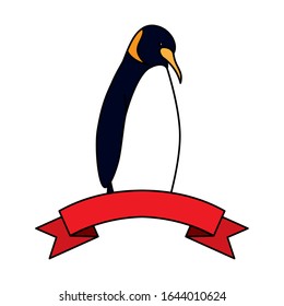 emperor penguin with ribbon on white background vector illustration design