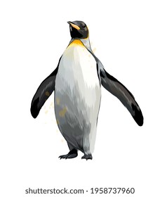 Emperor penguin from a splash of watercolor, colored drawing, realistic. Vector illustration of paints