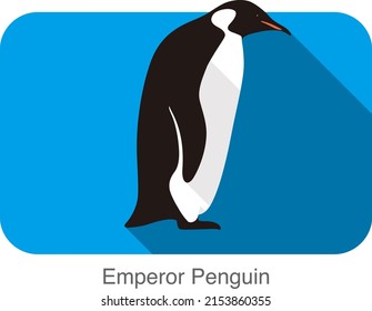 Emperor Penguin standing on the ground, Penguin seed series