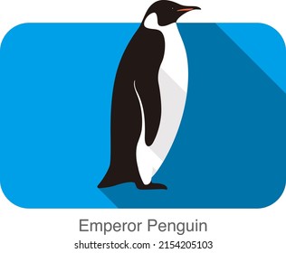 Emperor Penguin standing on the ground, Penguin seed series