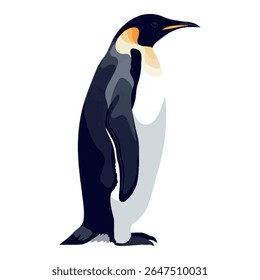 Pinguim imperador de pé em vista lateral - vetor corpo inteiro em fundo branco, ilustração de vetor 2D
