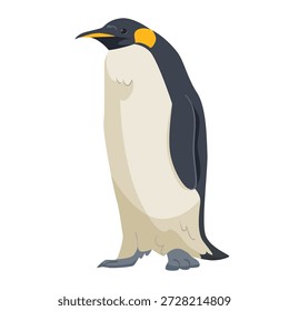 Pingüino emperador de pie hacia la izquierda, estilo de dibujos animados planos, aislado sobre fondo blanco. Concepto de vida silvestre y animales antárticos. Ilustración vectorial