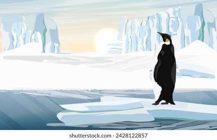 Emperor penguin stands on a large ice floe. Birds of the South Pole. Realistic vector animal