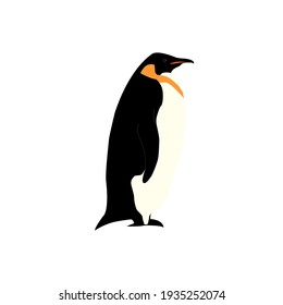 The emperor penguin stands upright
