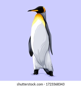 Emperor-Pinguin-Vektorgrafik einzeln auf unscharfem Hintergrund