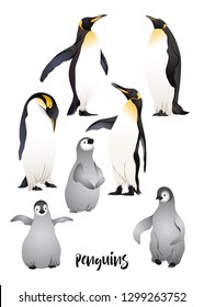 Emperor penguins adult and penguin chicks. Vector illustration.