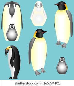 Emperor Penguins. Collection of isolated Emperor Penguins. Emperor penguins, young birds. Emperor Penguin Family