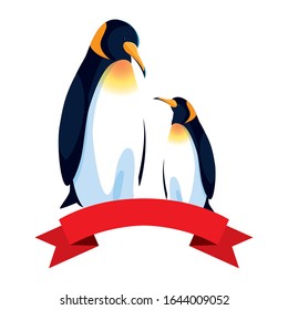 emperor penguins couple on white background vector illustration design
