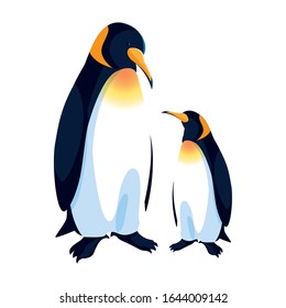 emperor penguins couple on white background vector illustration design