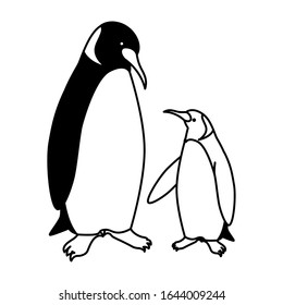emperor penguins couple on white background vector illustration design