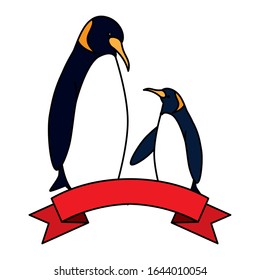 emperor penguins couple on white background vector illustration design