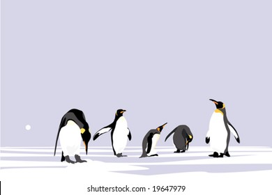 Emperor Penguins, easy editable vector collection