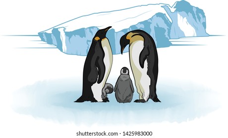Emperor Penguins gathered in the snow