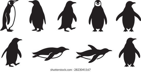 Emperor penguins group standing walking and swimming underwater in Antarctic ocean