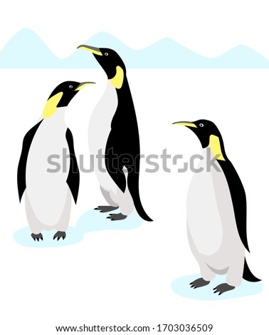 Emperor penguins on white background. Antarctic nature. Vector illustration.