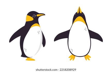 Emperor penguins set. Cute antarctic bird. Symbol of cold and winter flat vector illustration