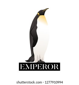 Emperor penguins  with slogan. Vector illustration.