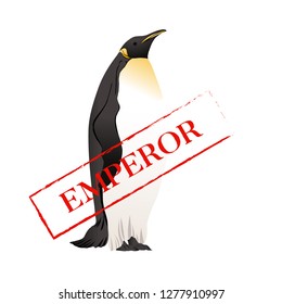 Emperor penguins  with slogan. Vector illustration.