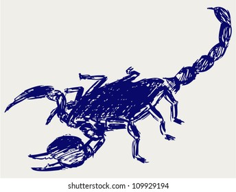 Emperor Scorpion. Sketch
