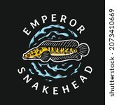 emperor snakehead fish illustration with water surround on black background