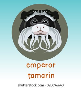 Emperror tamarin monkey