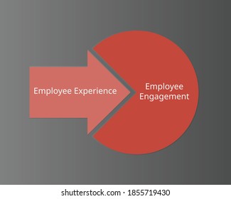 Employee Experience Vs Employee Engagement Vector