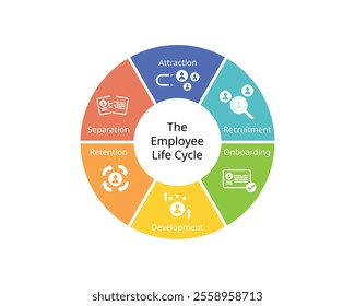 The employee lifecycle model or ELM is a model designed for journey an employee takes for attraction, recruitment, onboarding, retention, development, separation