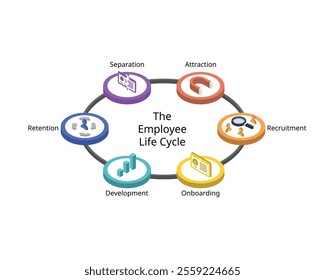 The employee lifecycle model or ELM is a model designed for journey an employee takes for attraction, recruitment, onboarding, retention, development, separation