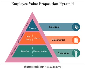 Employee Value Proposition Pyramid With Icons In A Infographic Template