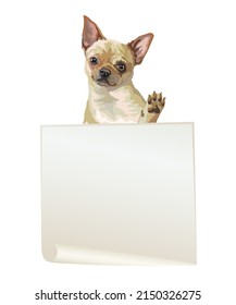 Empty banner with realistic Chihuahua dog vector illustration. Dog with template isolated on white background. For print, design, T-shirt, banner, poster. Vector illustration