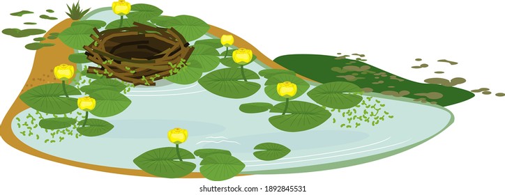 Empty bird nest and pond overgrown with flowering yellow water-lily (Nuphar lutea) with green leaves