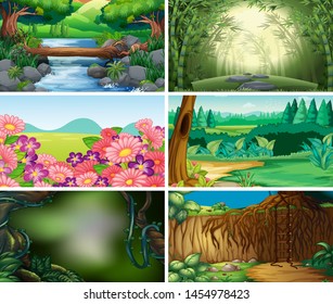 Empty, blank landscape nature scenes illustration