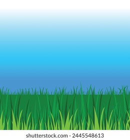 Empty blue sky and tall green grasses copy spaced vector illustration background isolated on square template.